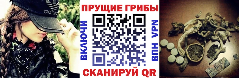 Псилоцибиновые грибы прущие грибы  Смоленск 