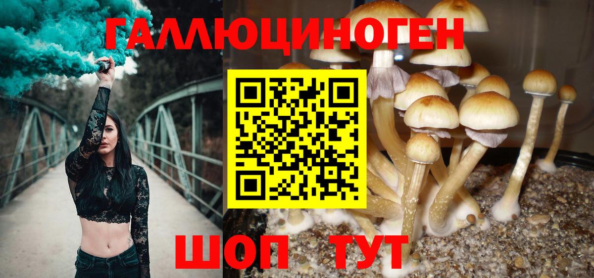 купить наркотик  Вход с VPN  Смоленск  Галлюциногенные грибы ЛСД 