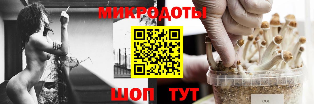 Псилоцибиновые грибы Psilocybe Смоленск